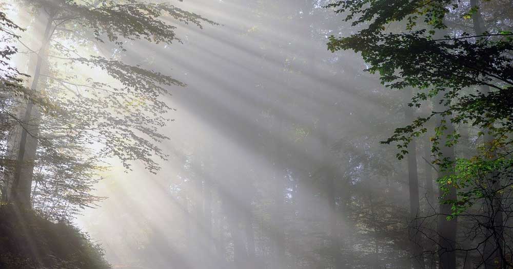 Malabotta-Raggi-di-Luce