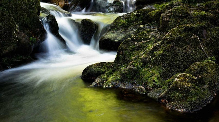 Riserva Naturale Orientata Bosco di Malabotta Torrente Licopeti